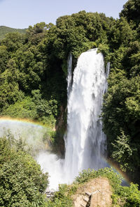 Scenic view of waterfall in forest