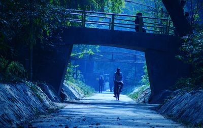 Rear view of man walking on bridge