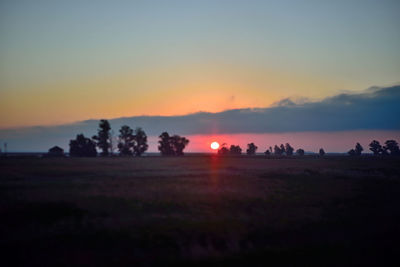 Silhouette trees on field against sky during sunset