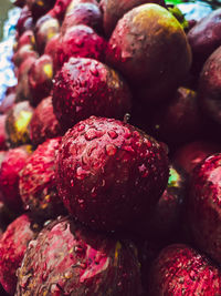 Apple vendor closeup shot