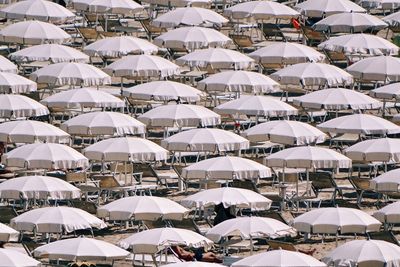 Low angle view of beach umbrellas 