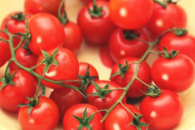 Close-up of fresh cherry tomatoes on table