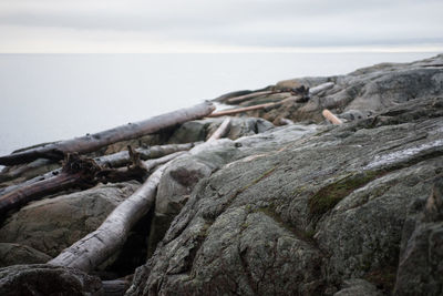 Close-up of rocks by sea against sky