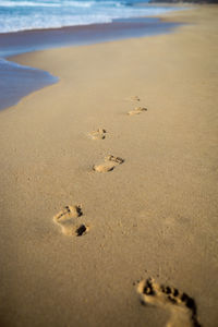 High angle view of footprints on sandy beach