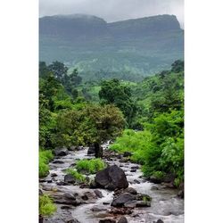 Stream flowing through rocks