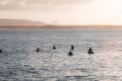 View of ducks swimming in sea