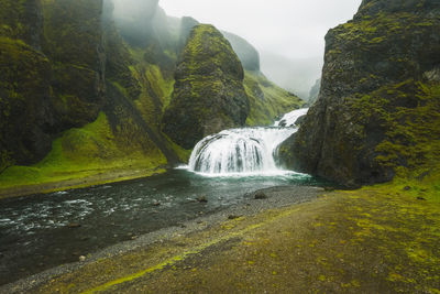 Scenic view of waterfall in forest