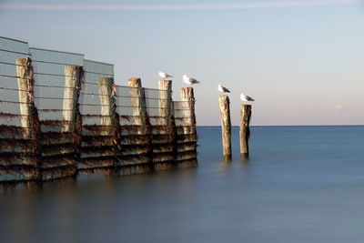 Wooden posts in sea against clear sky