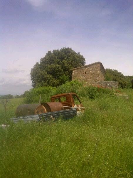 HORSE CART ON FARM