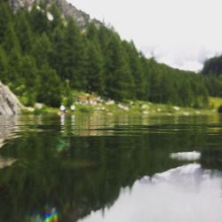 Reflection of trees in calm lake