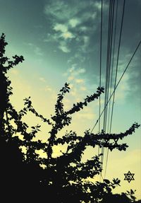 Low angle view of silhouette trees against sky