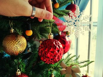 Close-up of hands holding christmas tree
