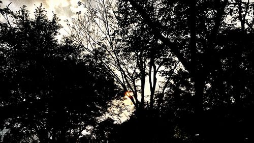 Low angle view of silhouette trees against sky at sunset