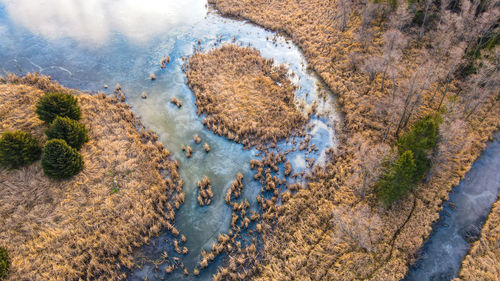 High angle view of sea shore