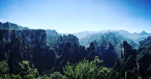 Panoramic view of trees and mountains against clear sky