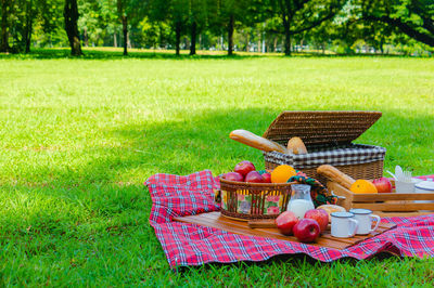 Fresh fruits in basket on field