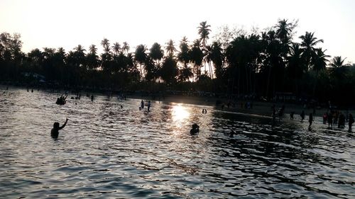 Silhouette ducks swimming in lake against sky