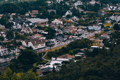 High angle view of trees and houses