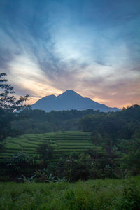 Scenic view of landscape against sky during sunset