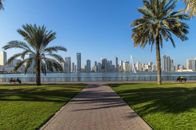 Palm trees and buildings against clear sky