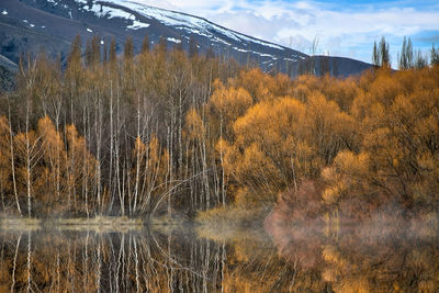 Scenic view of lake against sky during autumn