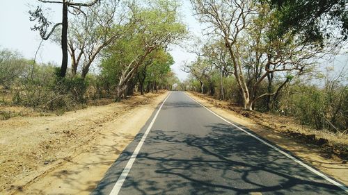 Road amidst trees against sky