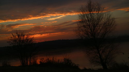 Silhouette trees against sky during sunset