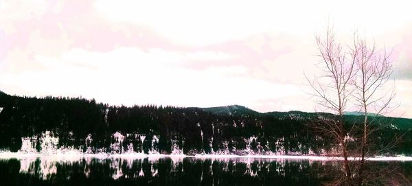 Reflection of trees in lake against sky