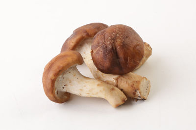 Close-up of bread over white background