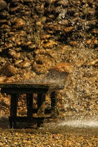 Sunlight falling on water in forest