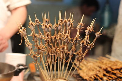 Close-up of cooked scorpions for sale at market stall