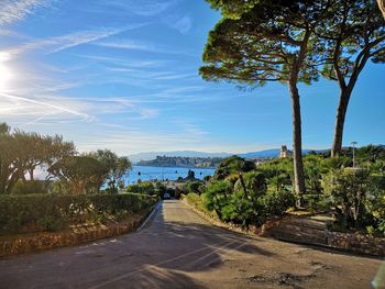 Road amidst trees against sky in city