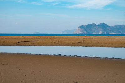 Scenic view of beach against sky