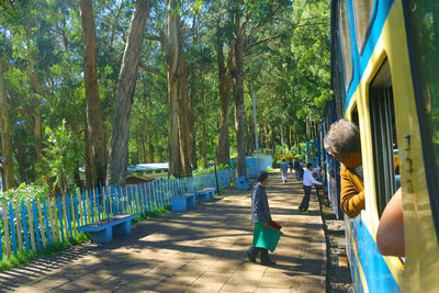 Woman standing on tree trunk