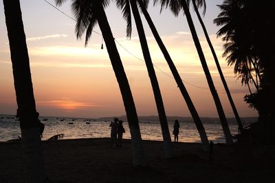 Silhouette palm trees on beach against sky during sunset