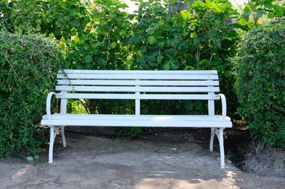 Empty bench in park