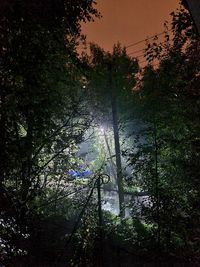 Low angle view of silhouette trees in forest against sky