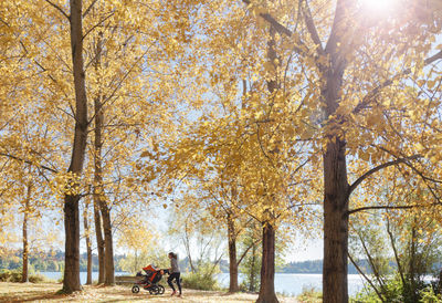 Man riding bicycle in park during autumn