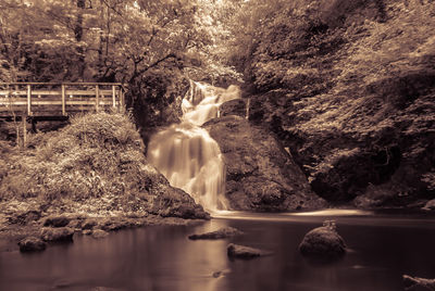Waterfall amidst trees against sky