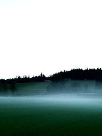 Scenic view of field against clear sky