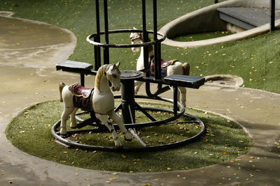 Horse cart in park