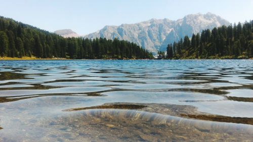 Scenic view of lake in forest against sky