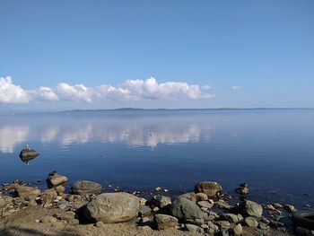 Scenic view of lake against blue sky