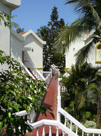 Building with trees in background