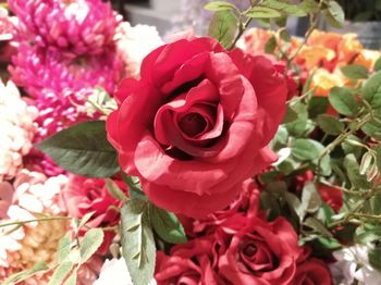 Close-up of rose bouquet