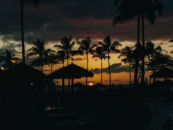 Silhouette palm trees on beach against sky during sunset