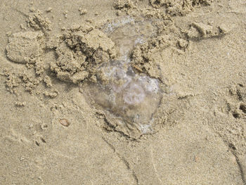 High angle view of heart shape on beach