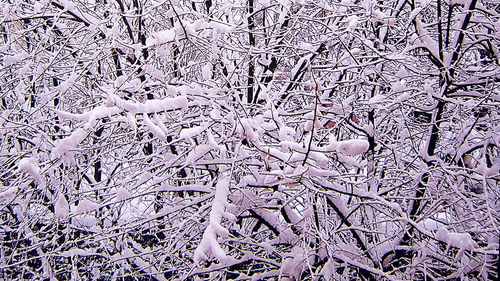 Full frame shot of snow covered land