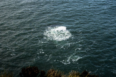 High angle view of rock in sea