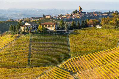 Scenic vineyards of langhe region, serralunga d'alba, piedmont, italy